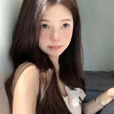 申社长计划
